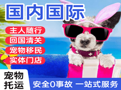 赣州黄金机场邮寄国际宠物托运 【国